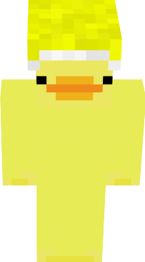 A Duck With A Yellow Christmas HAt