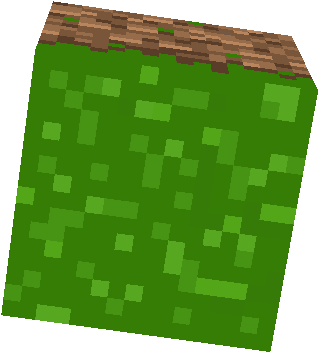 grass block, Nova Skin