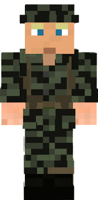 Tiger Stripe was camo used by the US and ARVN and still use to this day