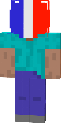 France Flag Head For Cosmetics in Minecraft u can use head for cosmetic <3