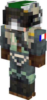 pilote de chasse français