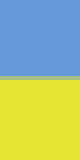 Флаг Украины СЛАВА УКРАИНЕ