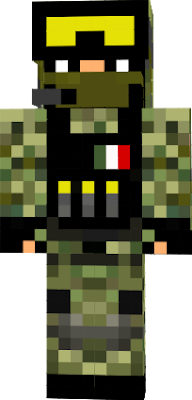 Militar Profesional