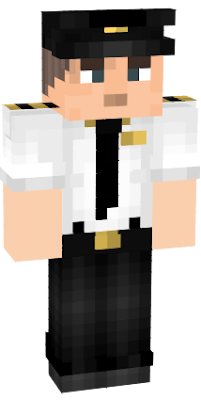 Detailed Airline pilot