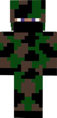 soldier in camouflage suit