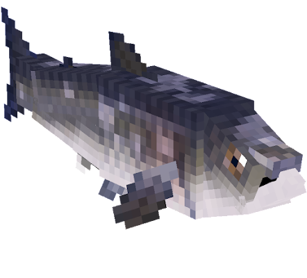 salmon | Nova Skin