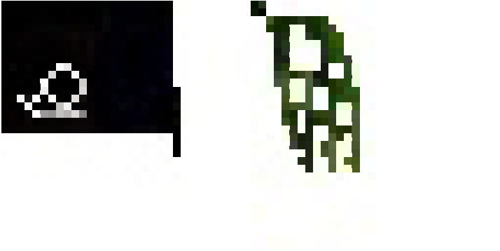 This cape with a design resembling a snail and an elytra resembling vines was uploaded to a Mojang staging server on April 17, 2024 at around 9:00 EST by a Mojang employee working on the cape API at the time[43]