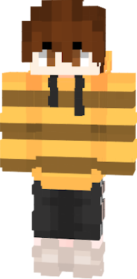 A minecraft bee boy