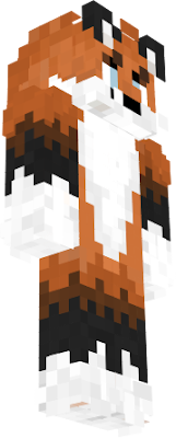 hola esta es mi skin