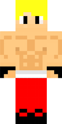 skin de minecraft