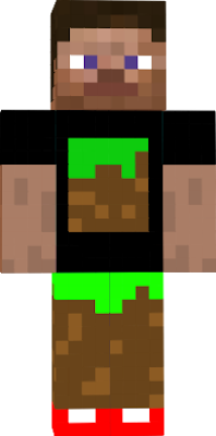 this skin really loves minecraft