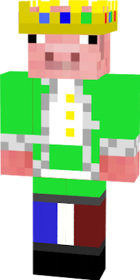 im tecnoblade but im lime and i have a french flag on my pant