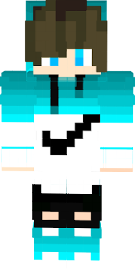 1x1x1x1  Nova Skin