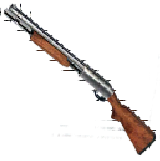 Escopeta-Shotgun