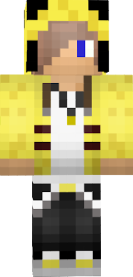 skin for mc