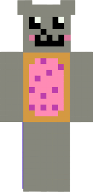 a wonky version of nyan cat, but as a character in Minecraft. Now you can fart rainbows while fighting creepers.