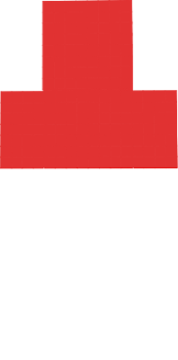 indonesia flag skin