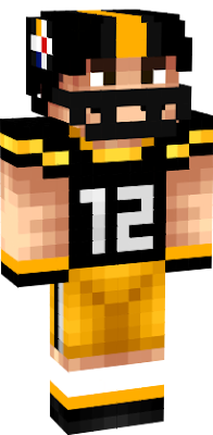 Steelers skin made to celebrate their win!