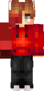 Tord skin that takes place after the end (I know it’s crappy, but pls don’t hate)