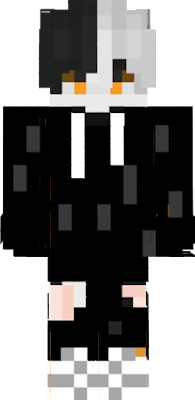 Creen su personaje en nova skin