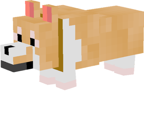 I editted this corgi and its by The doctor :3