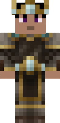 trumpeteer568's personal skin for his Kingdom server