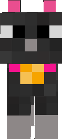 this is a skin for a cat :3