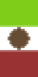 bandera y capa de mexico