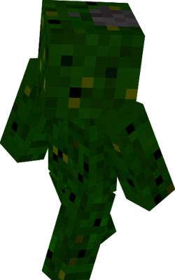 i just tried to make it as camo as possible with a cool vissor