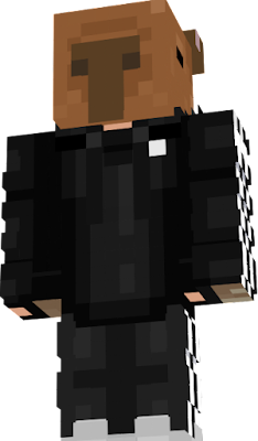 Capivara - Minecraft skin (64x32, Steve)