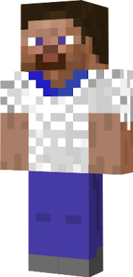 i make this for 55 minutes so yeah enjoy my skin steve by stickmasterforld