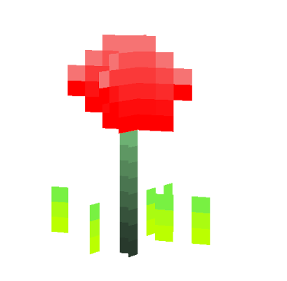 A Simple Red Rose