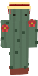 a simple cactus man