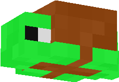 whoa turtles they exist in minecraft well maybe if u use this texure