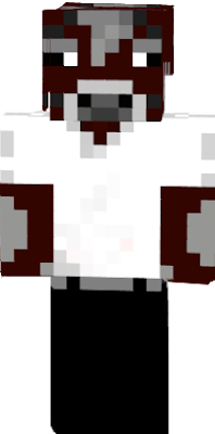 Spider_aces skin (the youtuber)