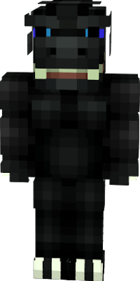 main skin