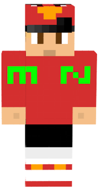 Angry Turtles fan skin made by himself